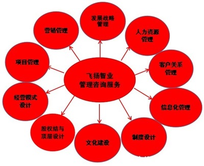 管理咨詢服務(wù)哪家強(qiáng)？專業(yè)信息咨詢機(jī)構(gòu)的選擇與考量
