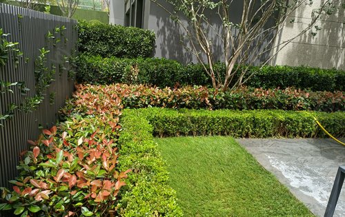 春暖花開，園藏萬象——融創時代奧城園林綠化景觀深度解讀